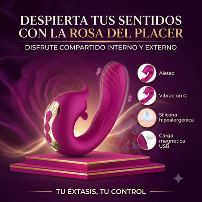 VIBRADOR Y SUCCION Z05149R
